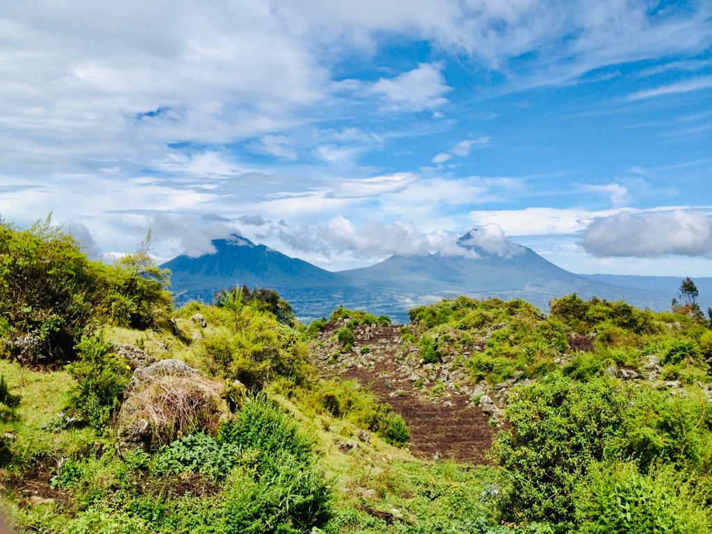 Embark on a Journey of Wonders with Virunga Ecotours: Unveil the Magic of Virunga Massif