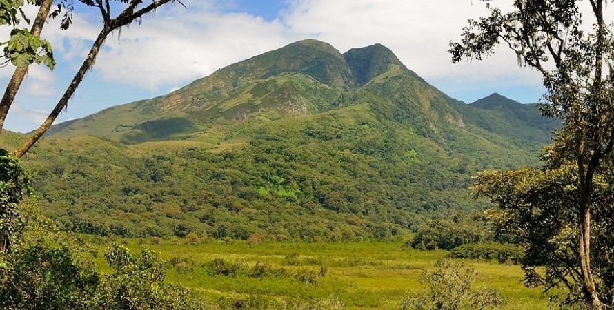 Virunga National Park-Congo, Nyiragongo hike, IDJWI Island and Kahuzi Biega Park