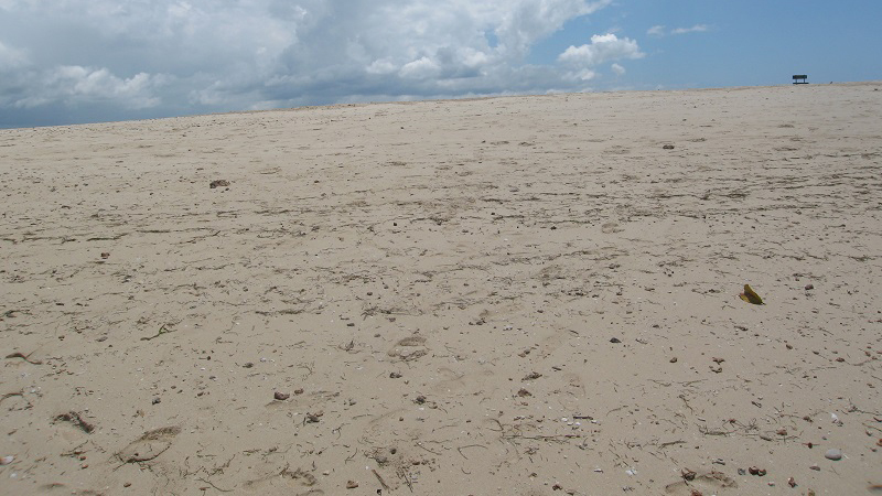 Zanzibar Magical Beach Holiday