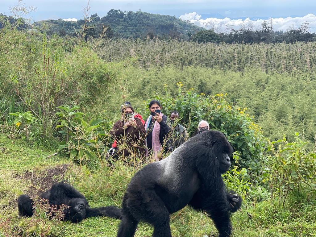 Virunga National Park-Congo, Nyiragongo Active, IDJWI Island and Kahuzi Biega Park-Congo