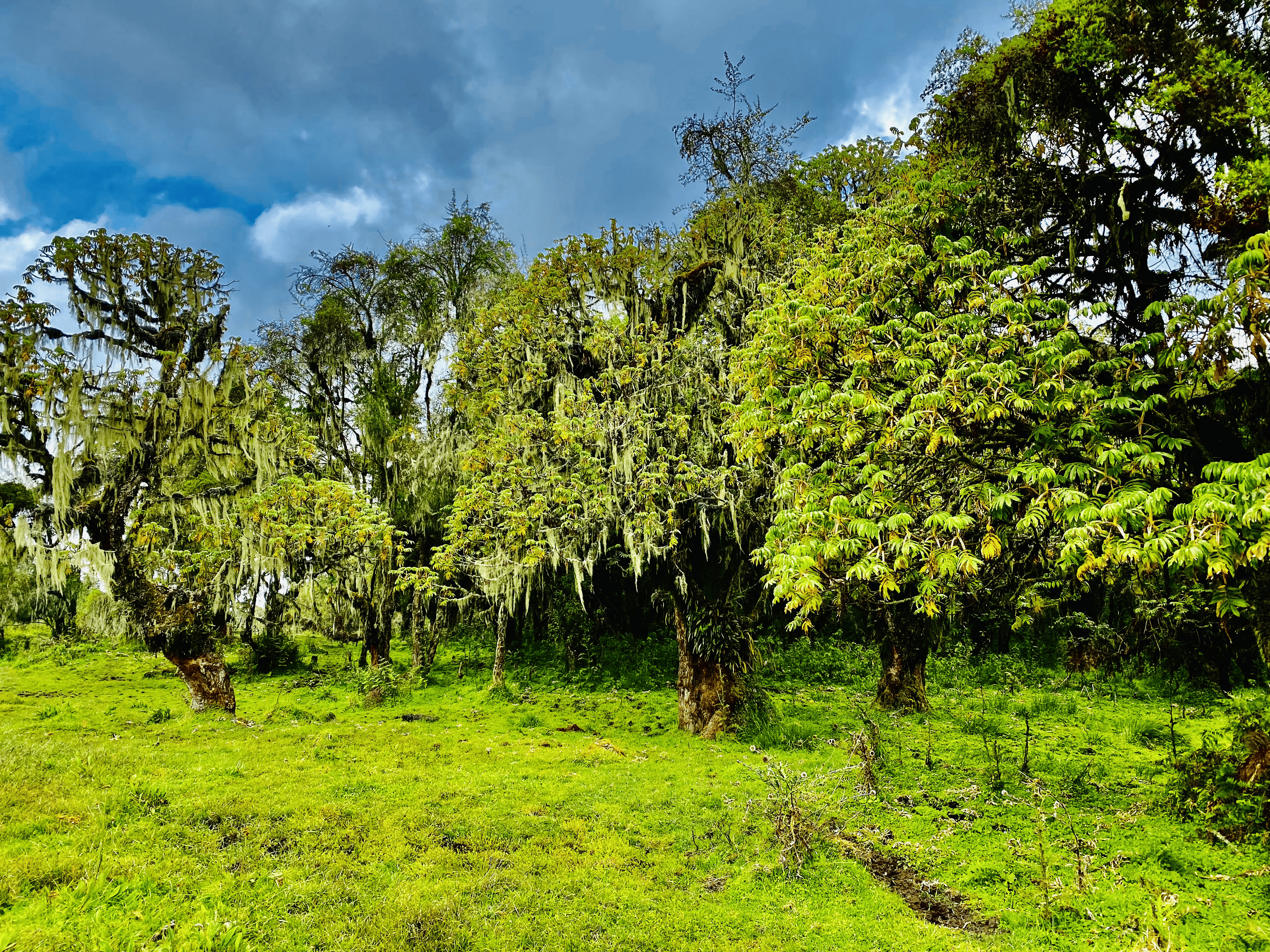 Tourism as a Village Economy