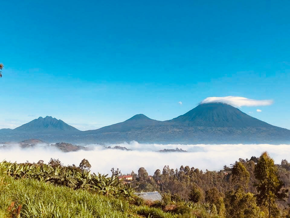 The Ultimate Guide to Volcanoes National Park: Nature and Adventure