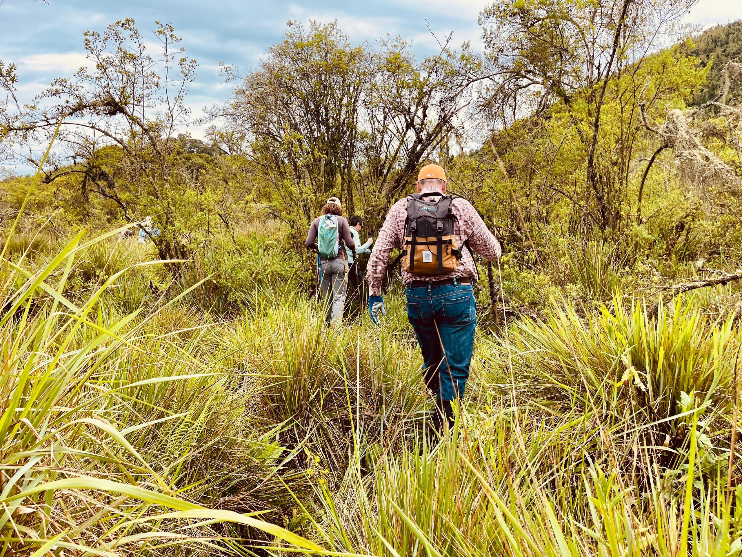 Gallery image for Honoring Nature’s Guardians: World Ranger Day and 100 Years of Protection in the Virunga Massif