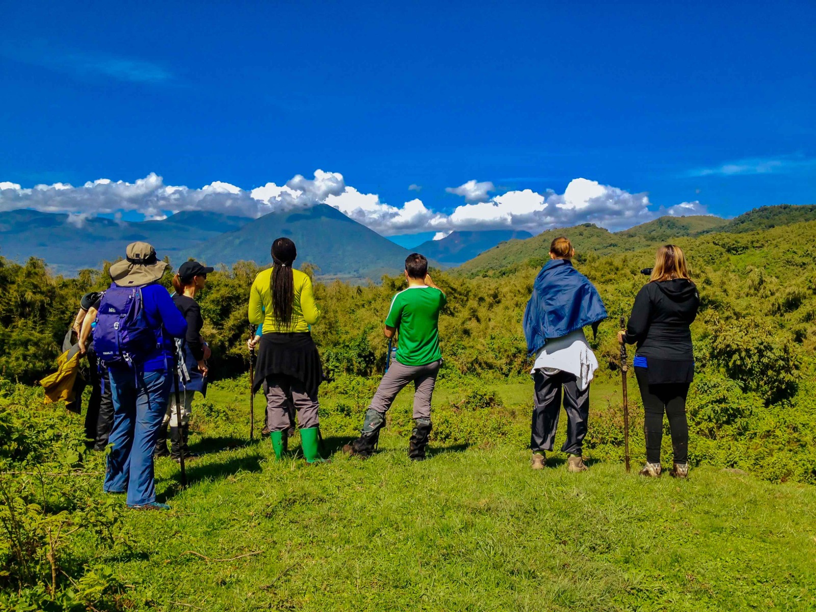 Gallery image for Kwita Izina 2025 – Rwanda’s 20th Gorilla Naming Ceremony
