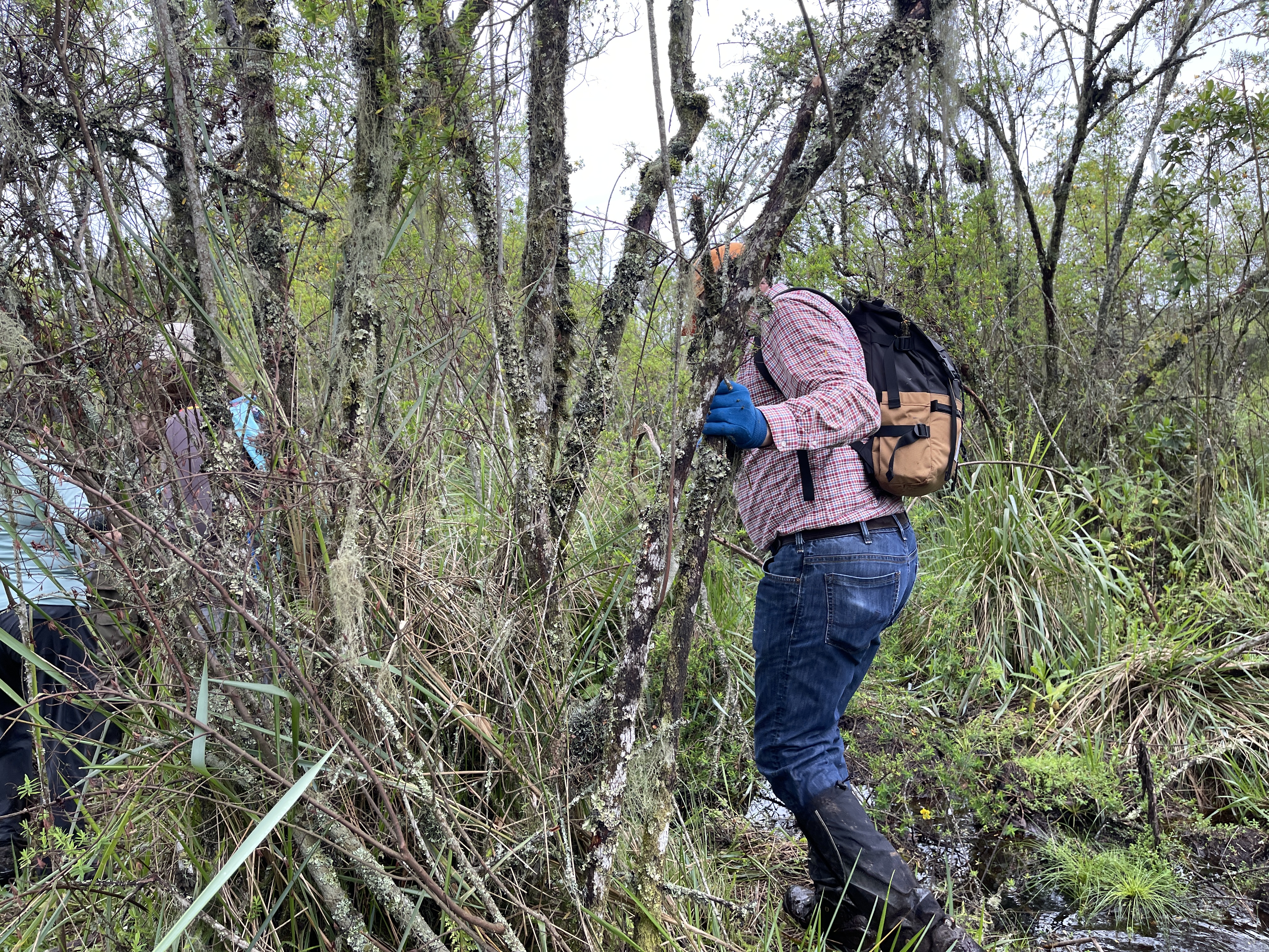 Gallery image for Pack with Purpose: Essential Tips for Your Unforgettable Gorilla Trek in Rwanda