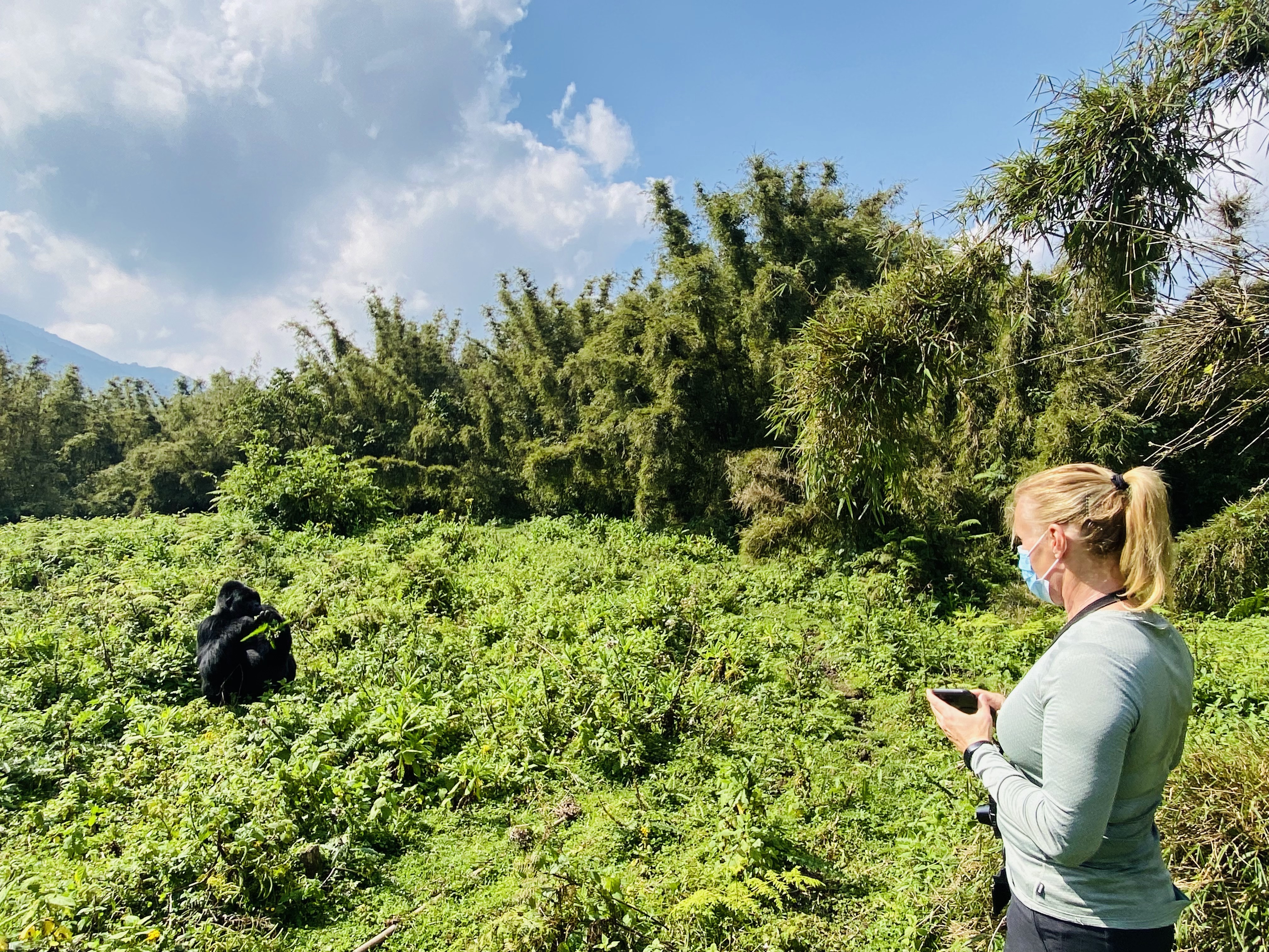 Gallery image for Pack with Purpose: Essential Tips for Your Unforgettable Gorilla Trek in Rwanda