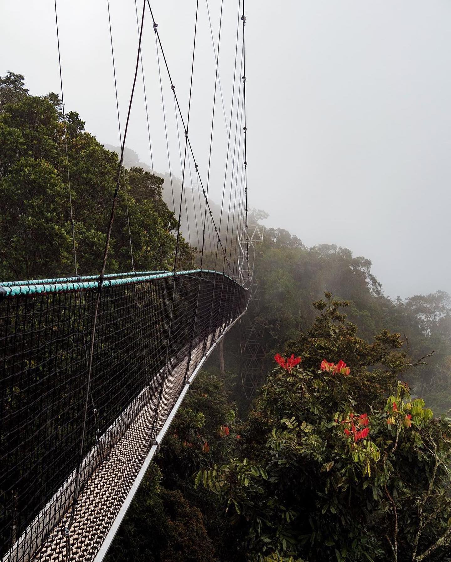 Nyungwe National Park