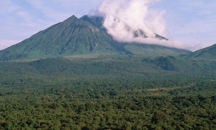 Virunga National Park