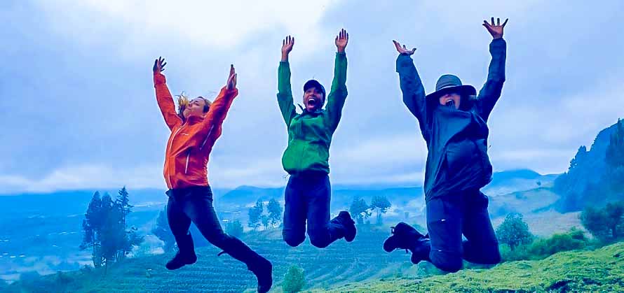 The Safari Experience