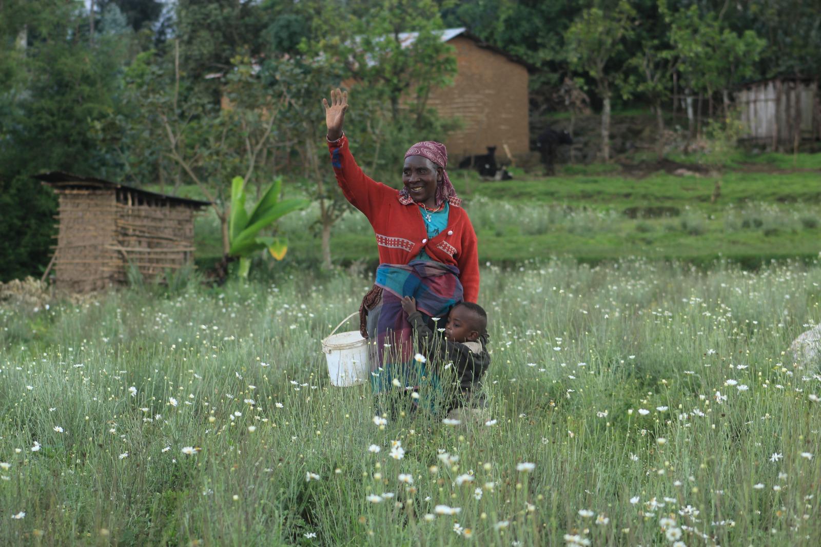 Community tourism activities