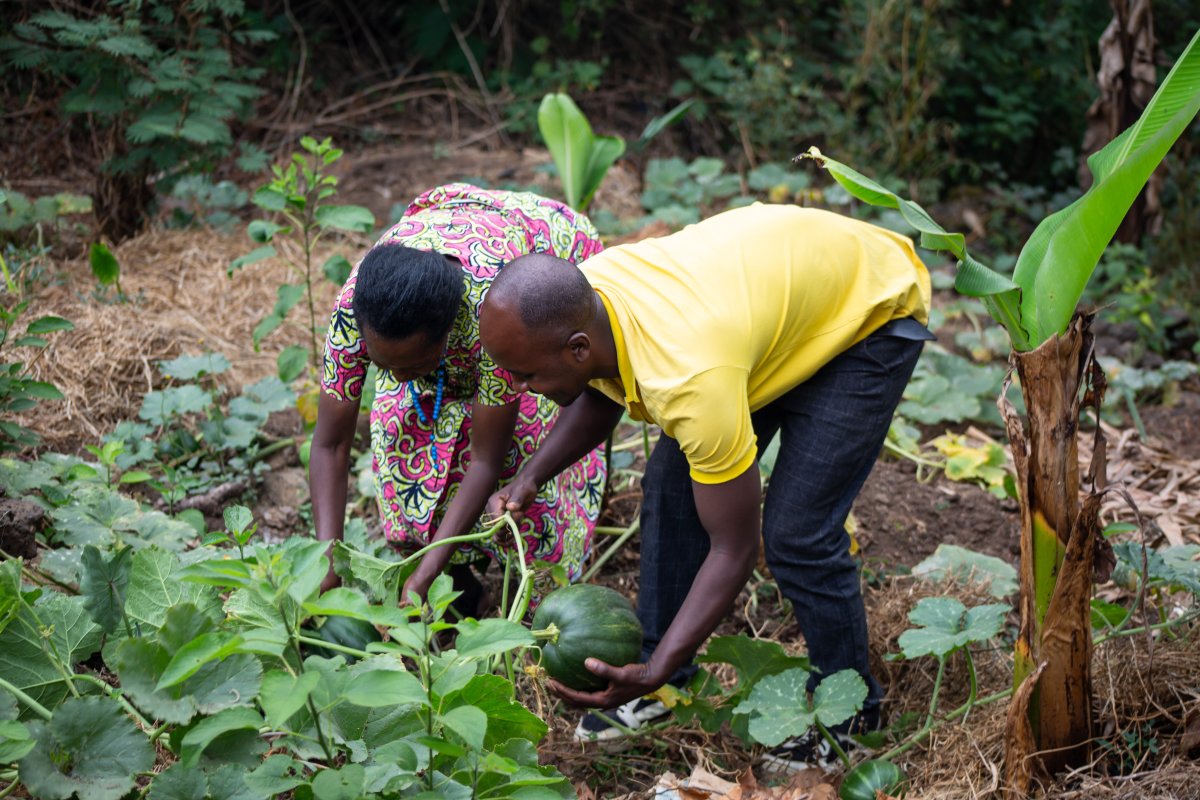 Half-Day Journey into Organic Farming