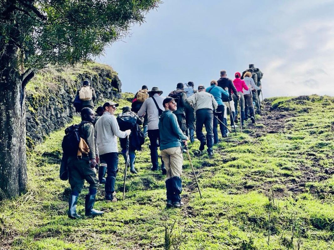 Half-Day Volcano Trek–Ecotour Adventure