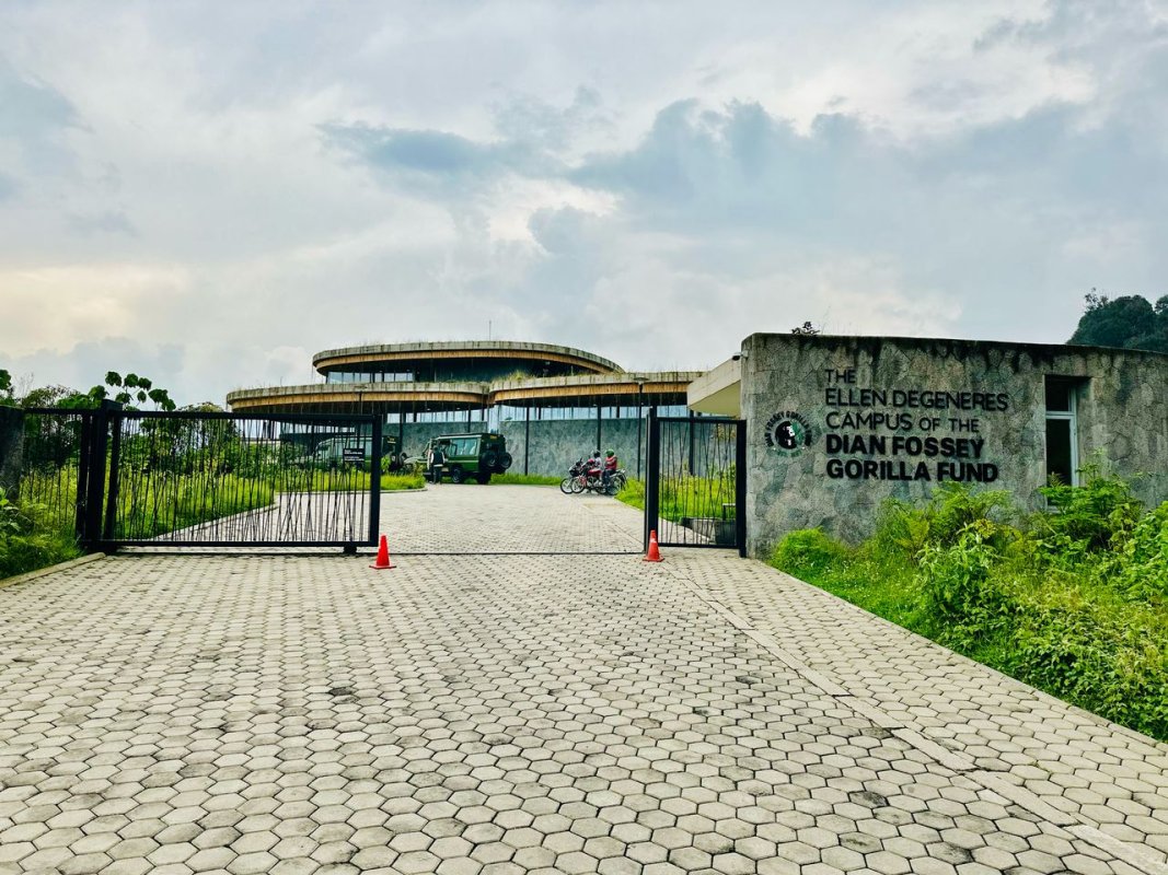 Explore the Dian Fossey Conservation Center – Ellen DeGeneres Campus