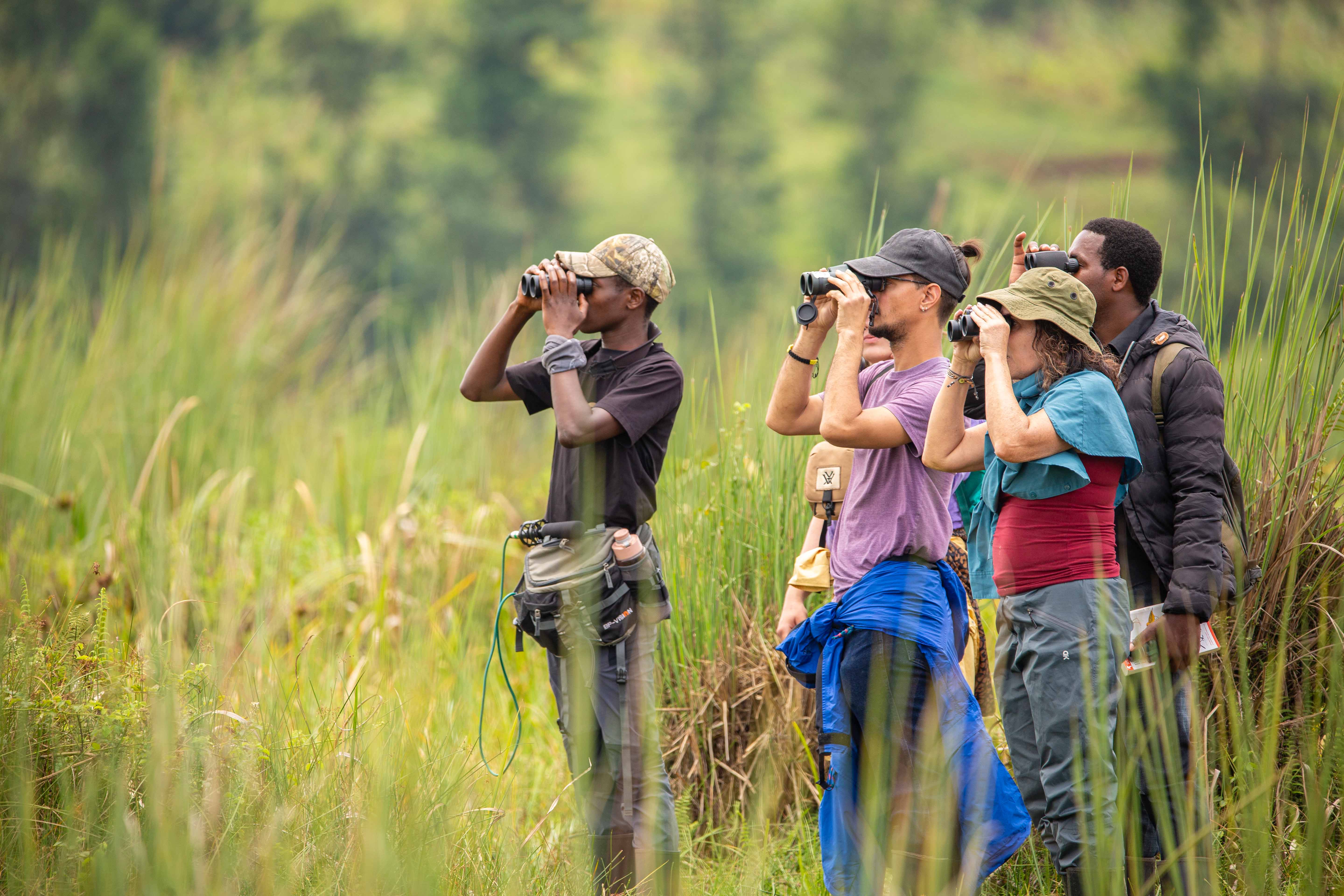 Birdwatching in Rwanda