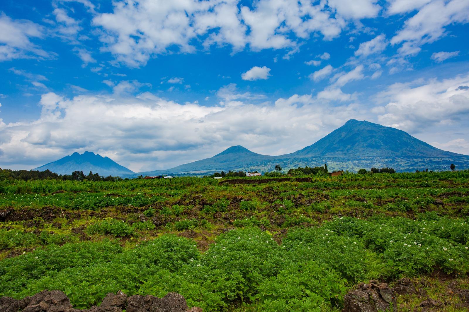 Volcanic Peaks Expedition
