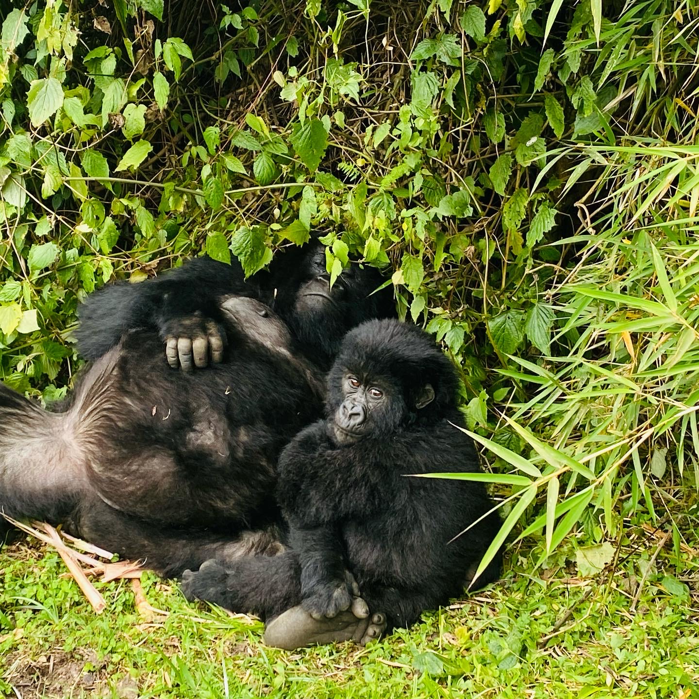 Costa Rica destination