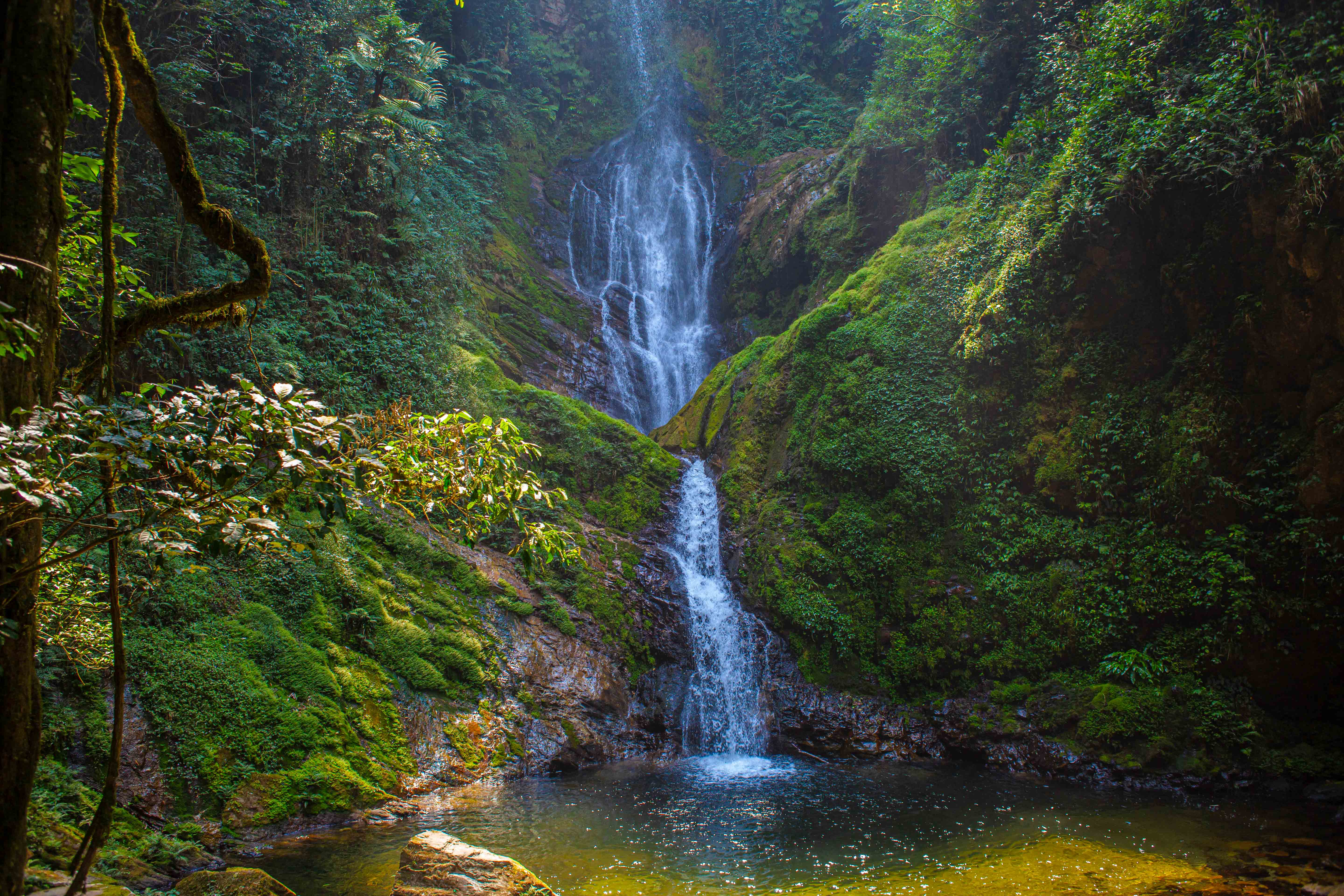 Inclusive Tourism in Virunga