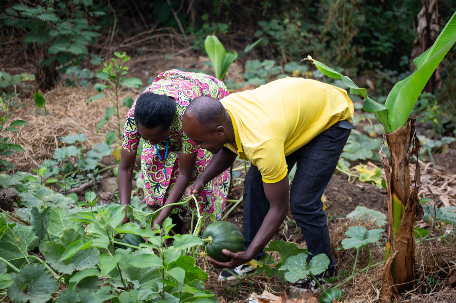 3-Day Kinigi Village Life Experience