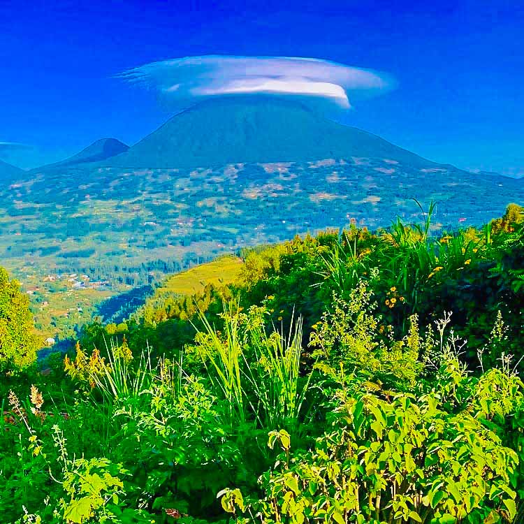 7-Day Cross-Border Gorilla and Golden Monkey Expedition (Rwanda and Uganda)