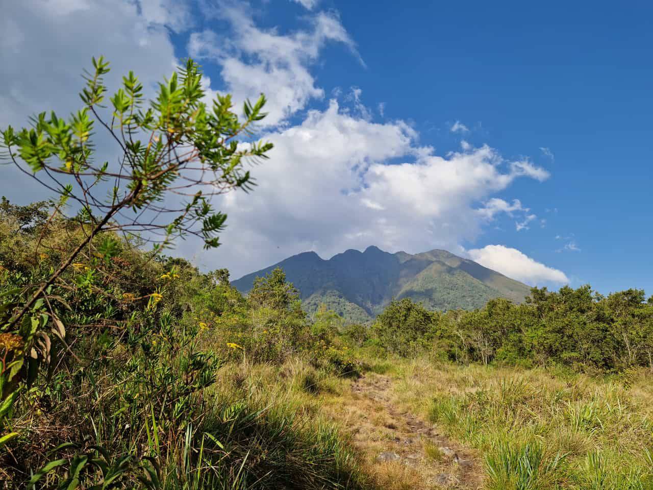 7-Day Field Education Tour 