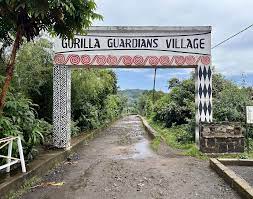 1-Day Cultural Experience at Gorilla Guardians Village