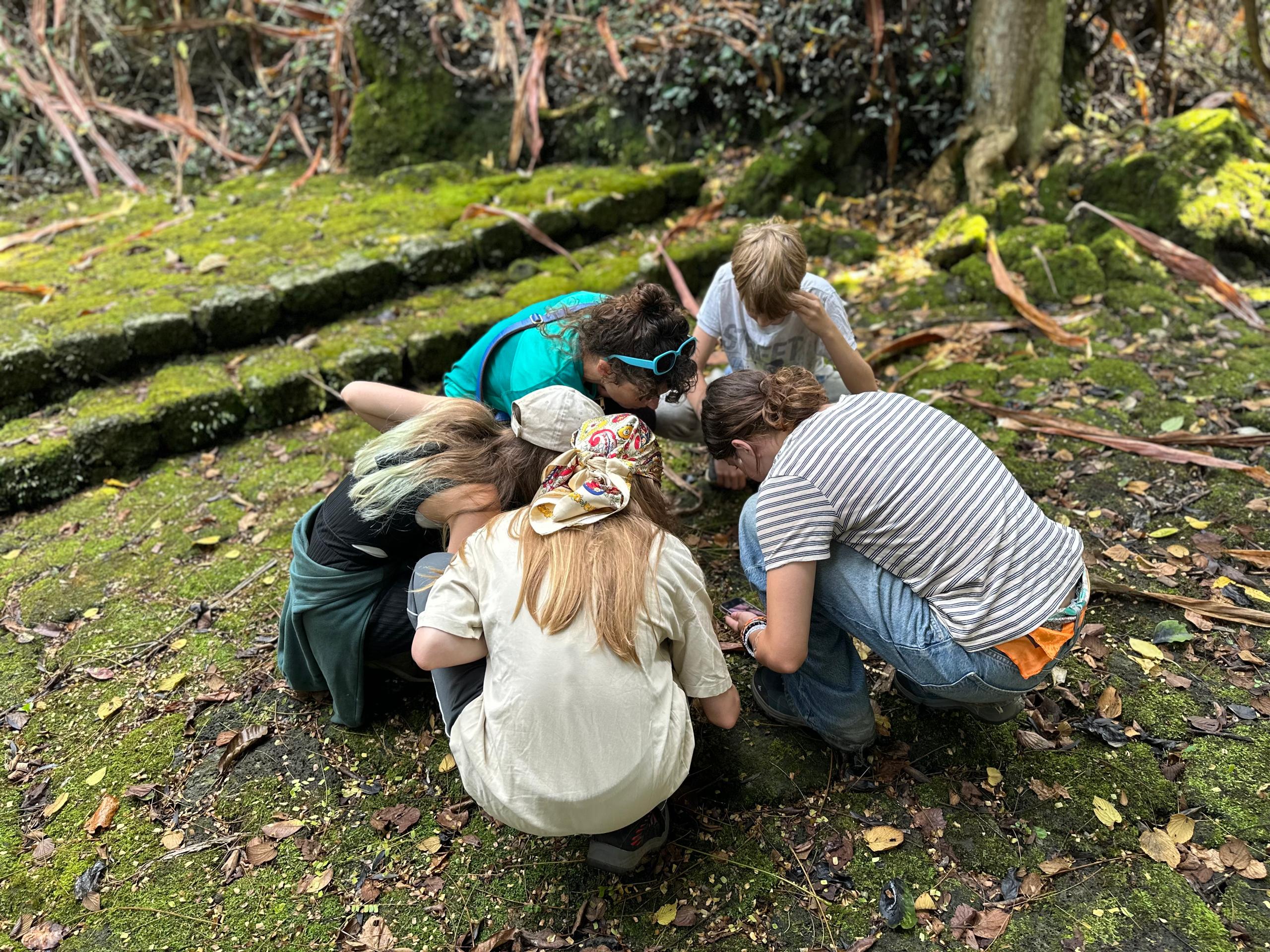 3-Day Virunga Love and Legacy Experience for Couples and Families