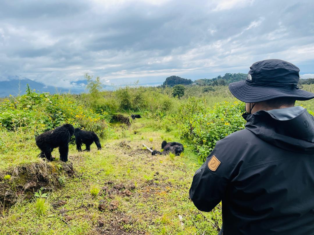 5-Day Rwanda Luxury Primates Safari
