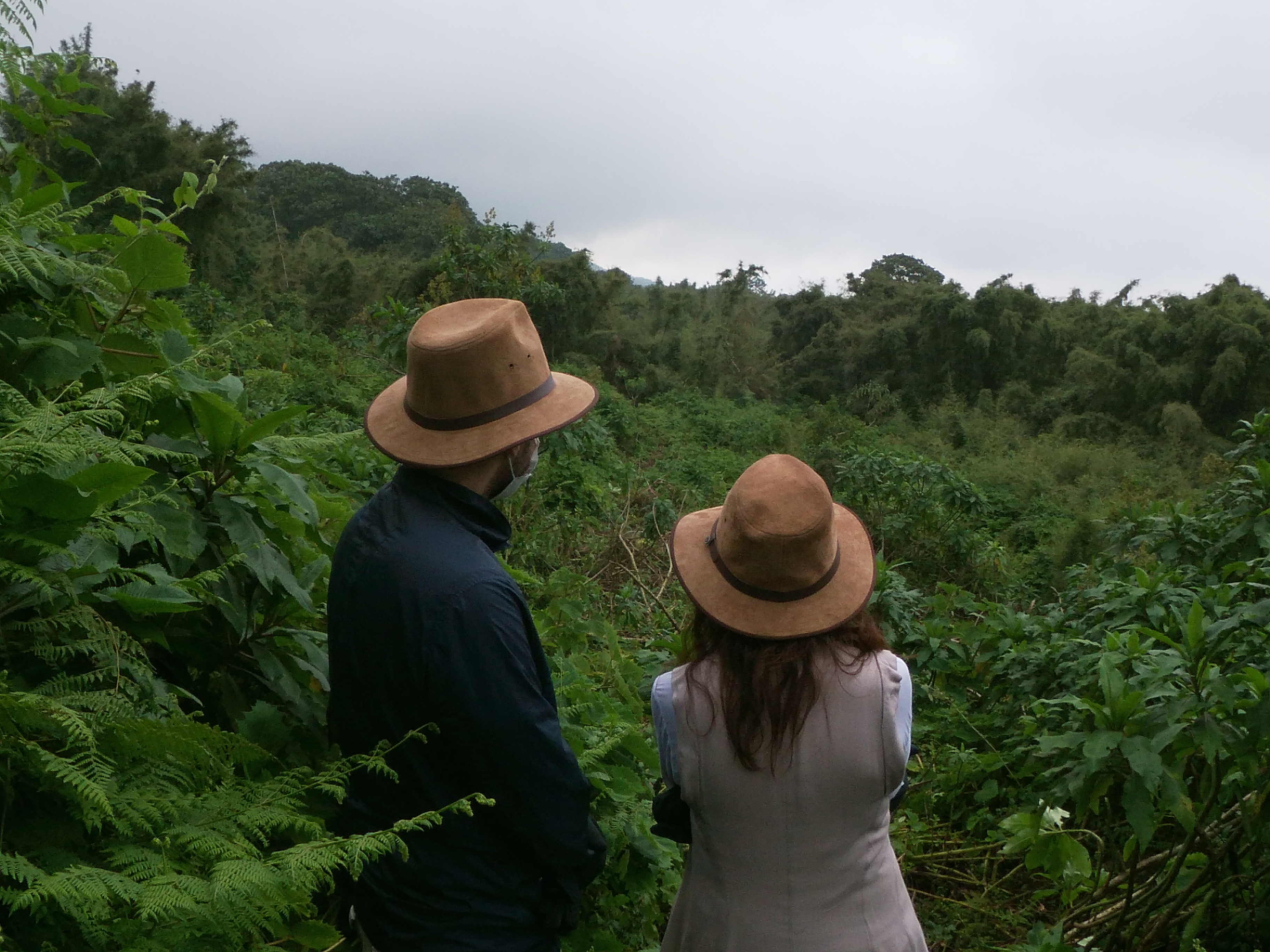 6-Day Luxury Rwanda Circuit