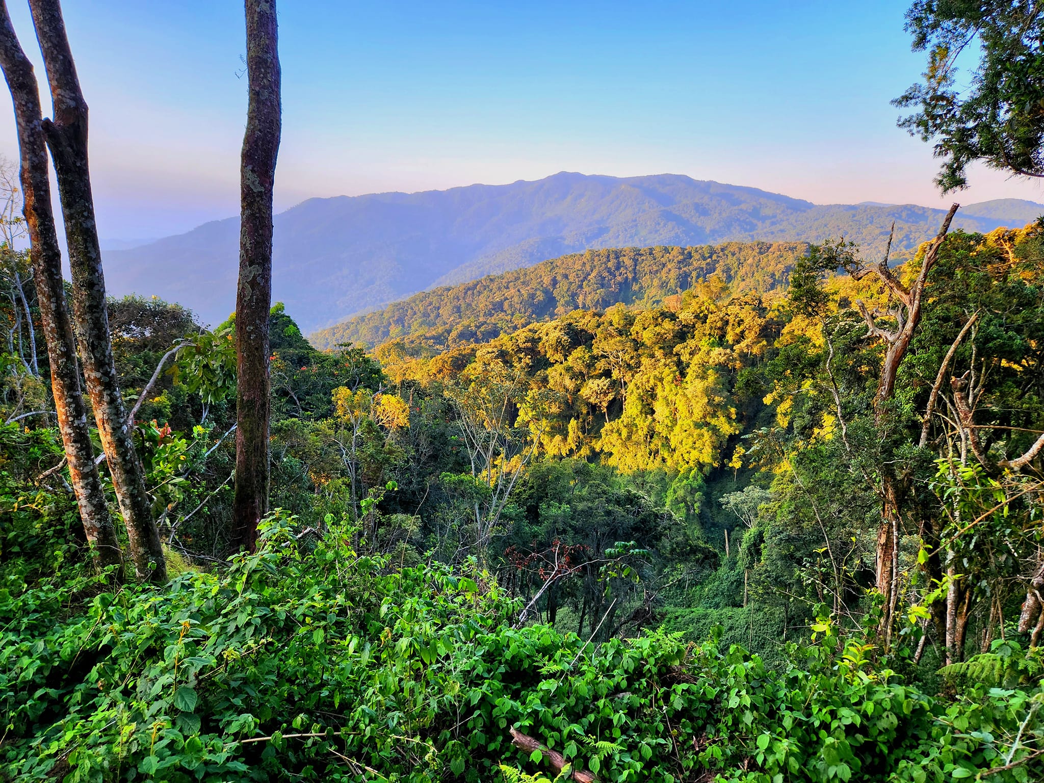 Nyungwe and Lake Kivu Budget Safari – 4 Days from Kigali